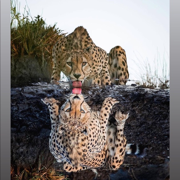 Danie here, - Picture 7 of 16